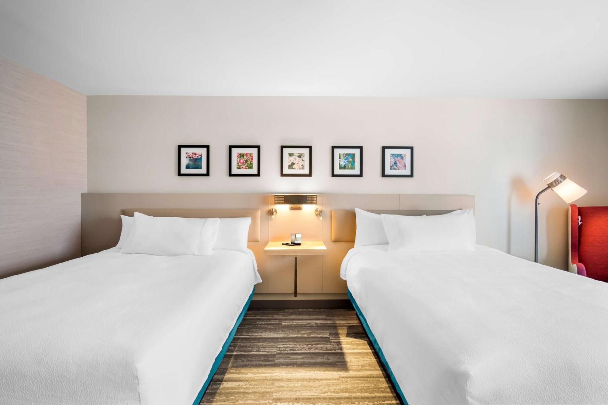 Hilton Garden Inn นอร์ทคอนเวย์ ภายนอก รูปภาพ